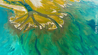 Wetiko Mind-Virus / Open Lines