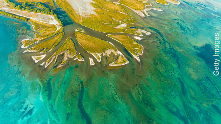 Wetiko Mind-Virus / Open Lines