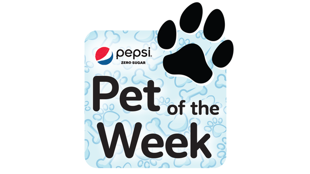 Meet Our Pepsi Zero Pet of the Week!