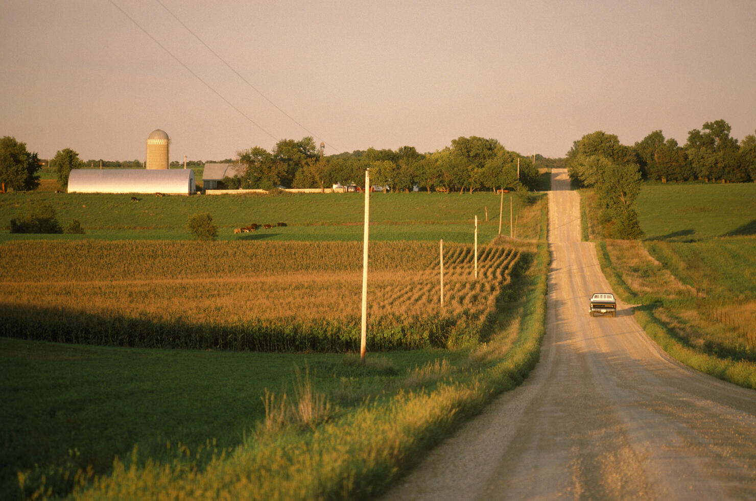 USA, northern Minnesota, truck on gravel road, rear view