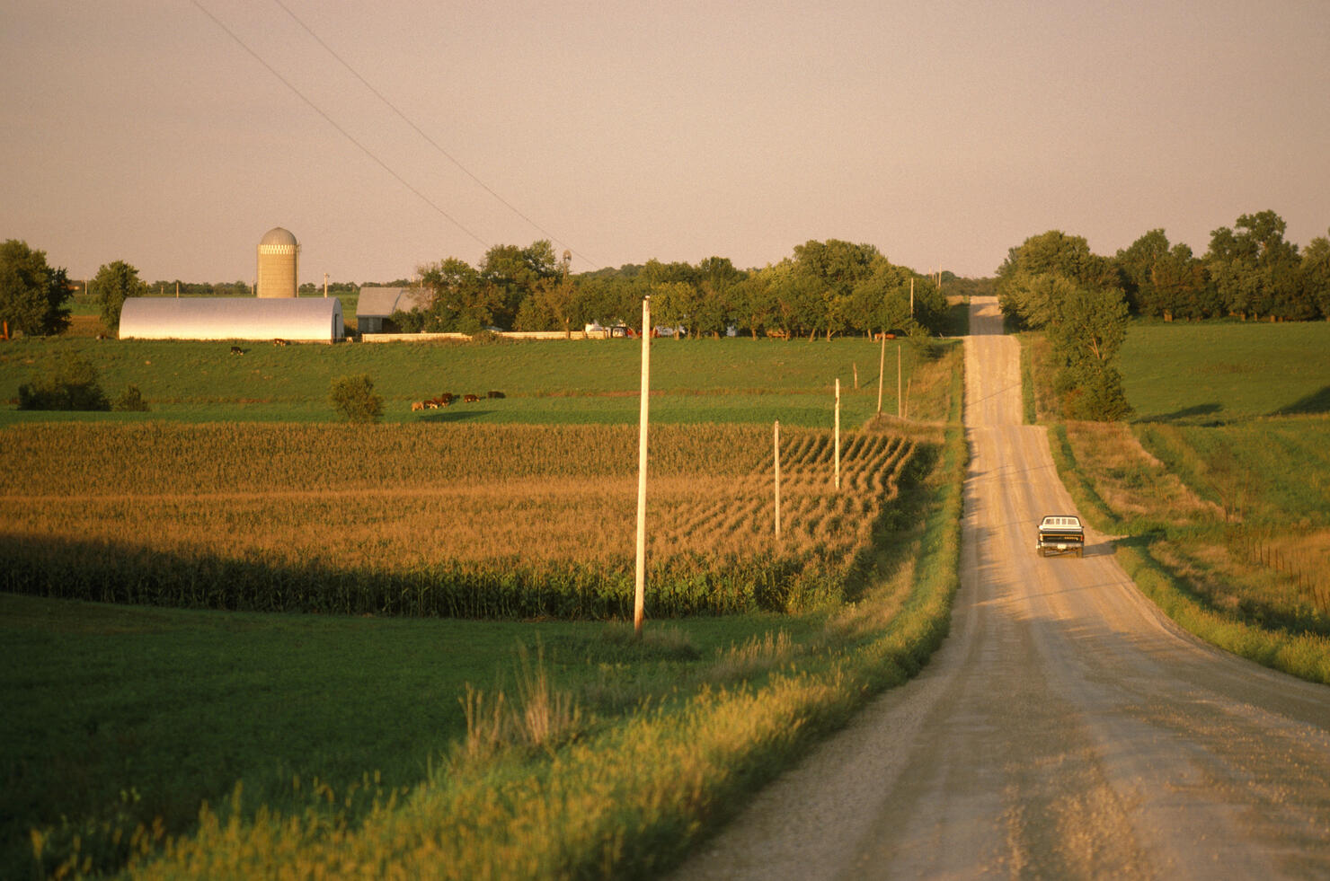USA, northern Minnesota, truck on gravel road, rear view