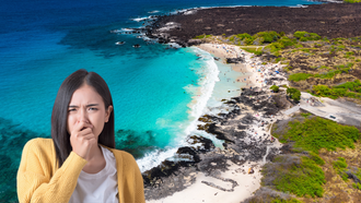 Fecal Bacteria Discovered Along Popular Hawaii Bay