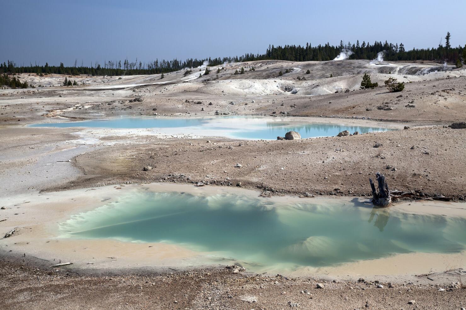 Hot springs and mineral deposits in the Porcelain Basin, Norris Geyser Basin, Yellowstone National Park, Wyoming, USA