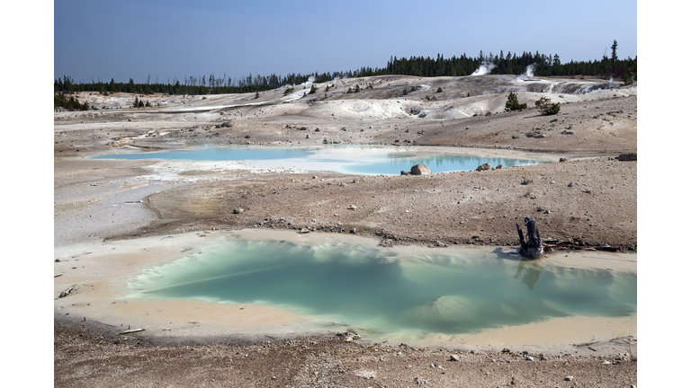 Hot springs and mineral deposits in the Porcelain Basin, Norris Geyser Basin, Yellowstone National Park, Wyoming, USA