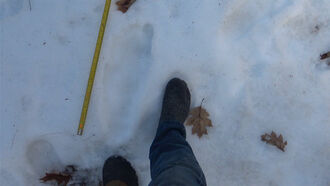 Mike Paterson Sasquatch Material