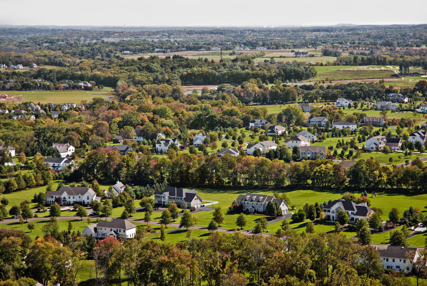 Suburban landscape