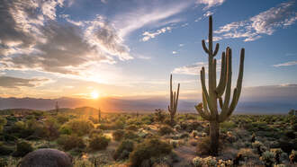 Badgers, Wildcats to begin home-and-home series 