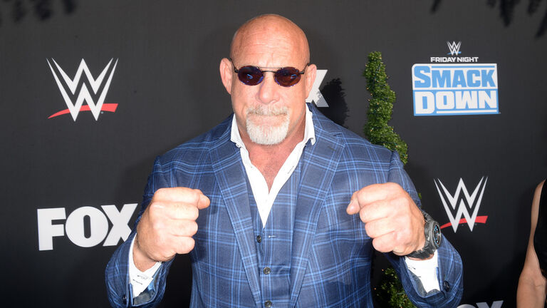 WWE 20th Anniversary Celebration Marking Premiere Of WWE Friday Night SmackDown On FOX