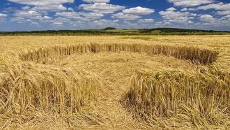 Video: Peculiar 'Puzzle' Crop Formation Found in England