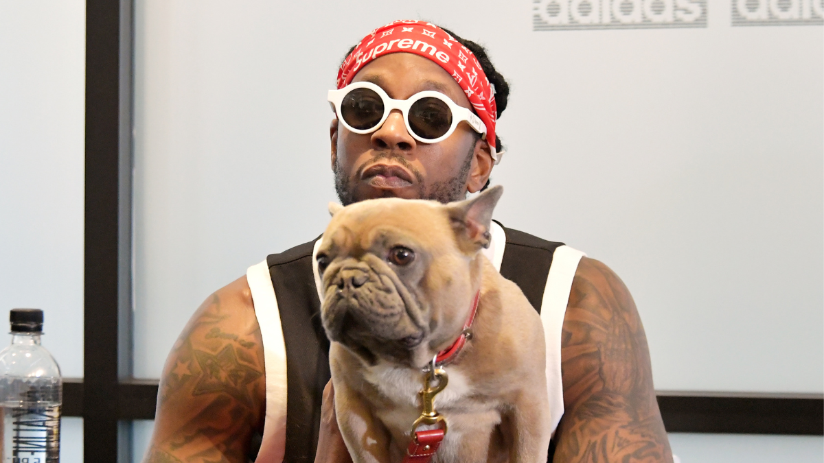 Tity Boi (2 Chainz) on X: Trappy S. Goyard What you think the 'S' stand  for? #nationalpuppyday  / X