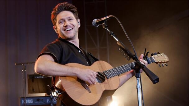 Niall Horan Reveals His Most Embarrassing Onstage Moment