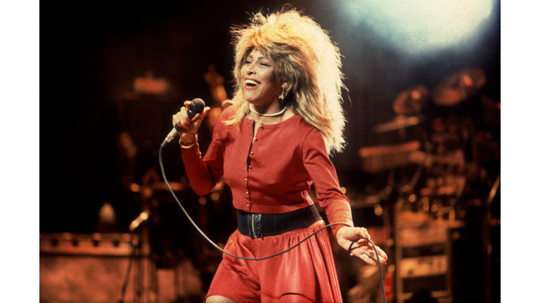 Tina Turner At The Poplar Creek Music Theater