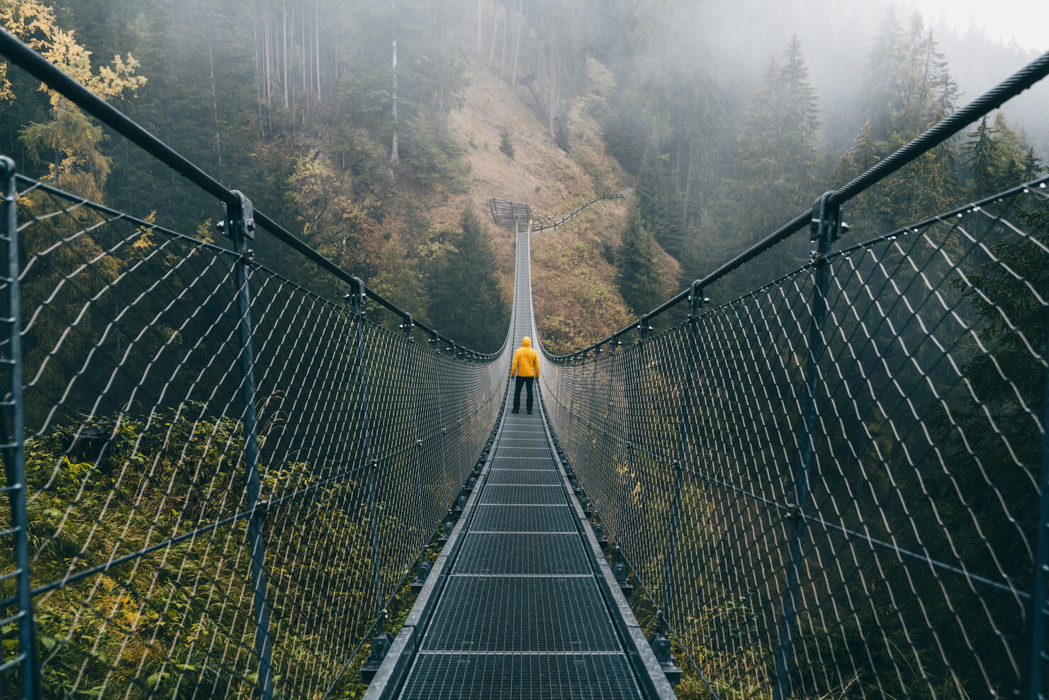 Man standing on a suspension bridge in the forest