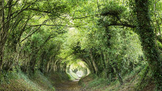 The Best Hiking Trail In Pennsylvania 