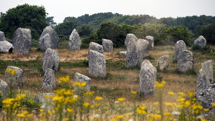 French Mayor Slammed After Ancient Standing Stones Are Destroyed for New Store