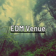 EDM Venue