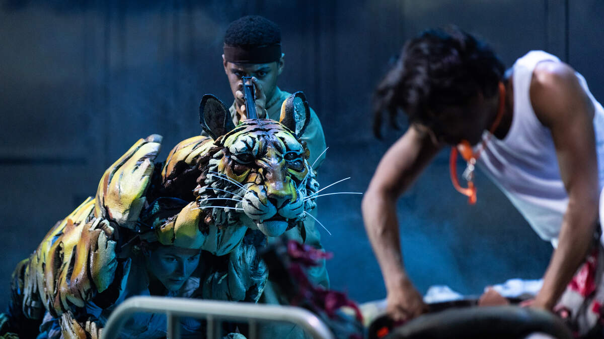 Life of Pi  Final Performance July 23rd