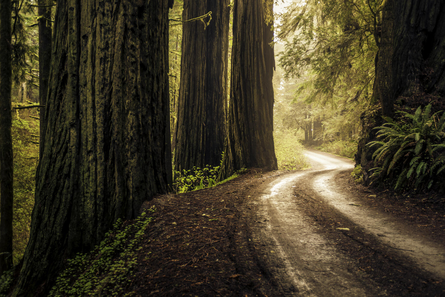 Howland Hill Road, California.