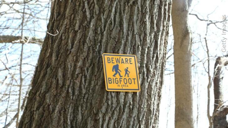 Are You Overlooking This Sign of Bigfoot Activity?