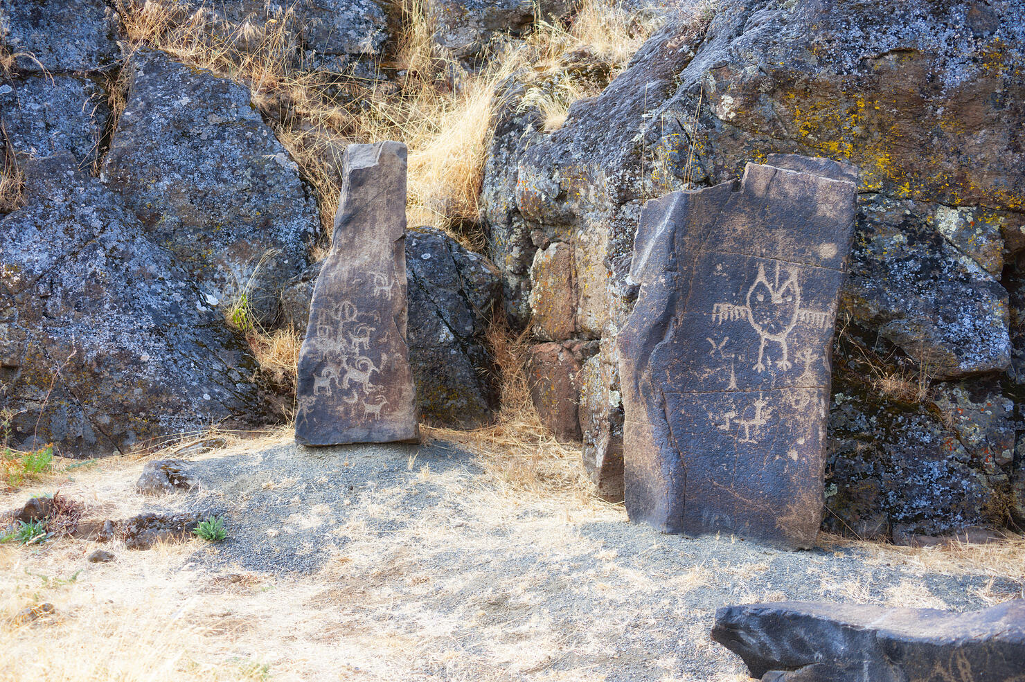 Ancient Petroglyphs on the Temani Pesh-wa Trail