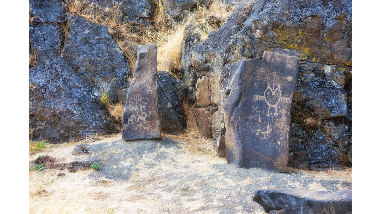 Ancient Petroglyphs on the Temani Pesh-wa Trail
