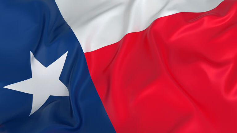 Majestic Flag of Texas