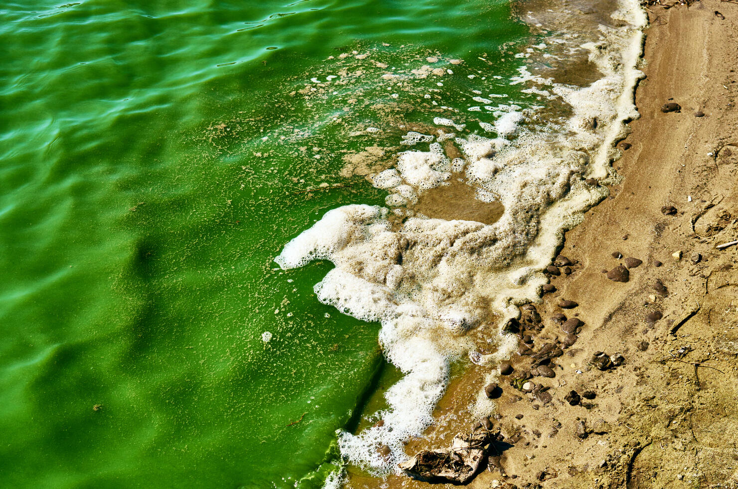 8 Michigan Beaches Closed For Health Concerns Ahead Of Holiday Weekend