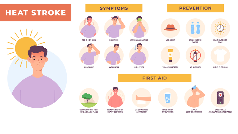 Heat stroke symptoms, prevention and first aid infographic. Sun overheating and dehydration. Hot summer health risk, sunstroke vector poster