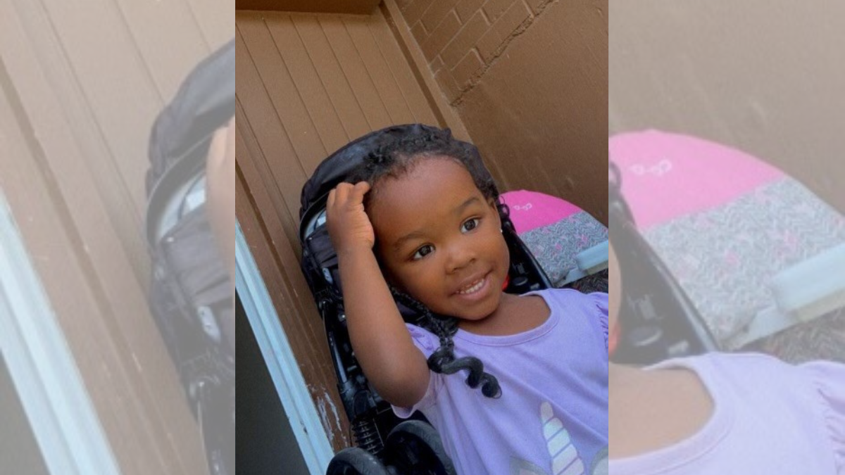 Missing 2-Year-Old Girl Found Dead Following Mother's Stabbing | BIN ...