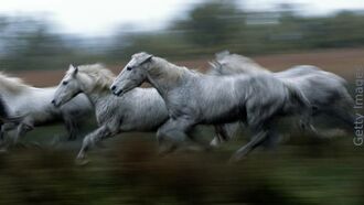 Knapp's News 7/15/23