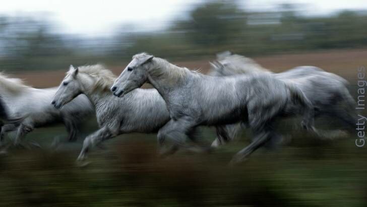 Knapp's News 7/15/23