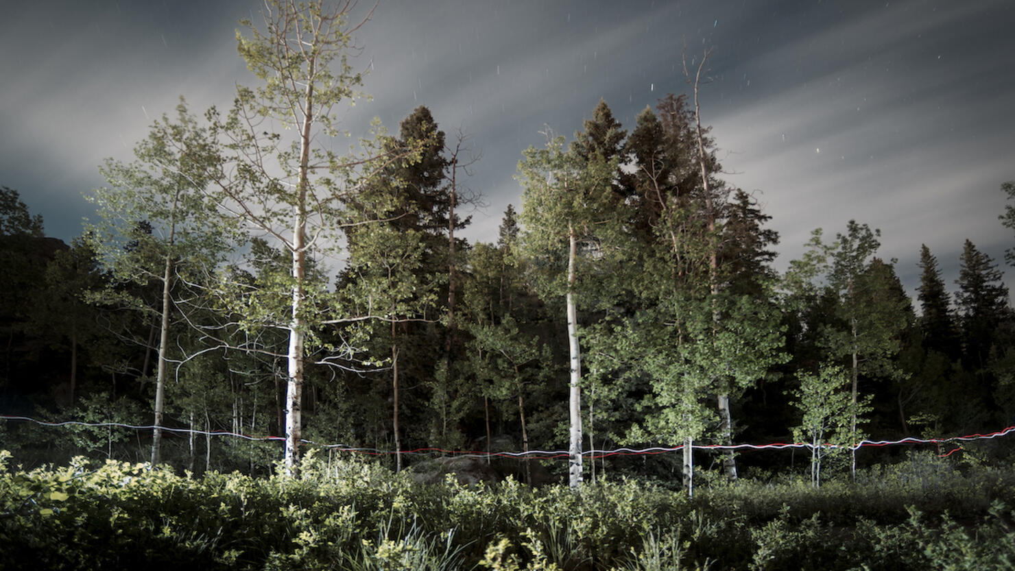 Camp Trails