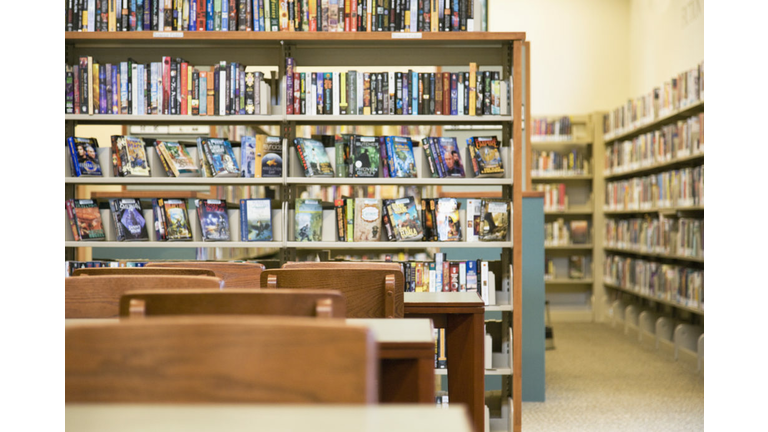 Books on shelves in library