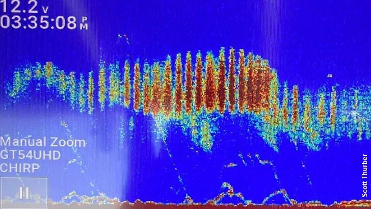 Lake Champlain Monster Spotted on Sonar?