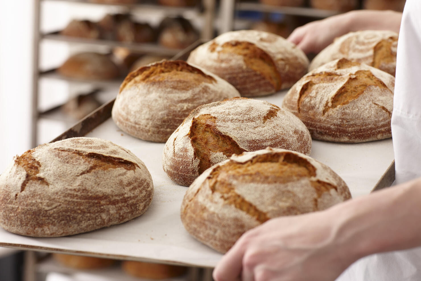 Chef carrying tray of bread in kitchen