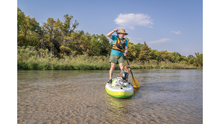 paddling stand up paddleboard with a pitbull dog