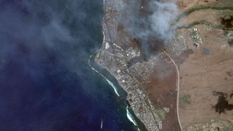 How You Can Help Maui Wildfire Victims In Need