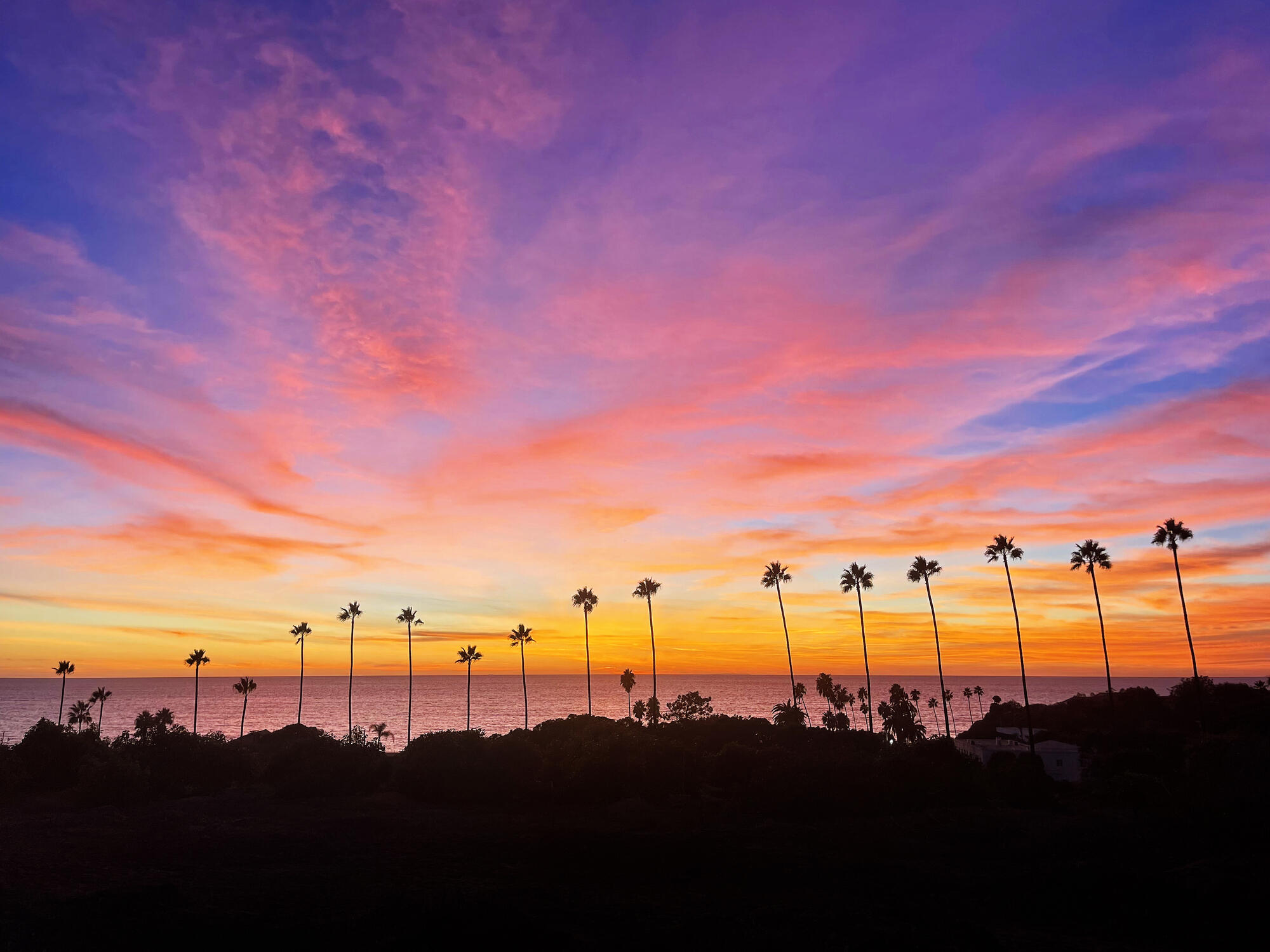 Puplid | California Sunset Pink