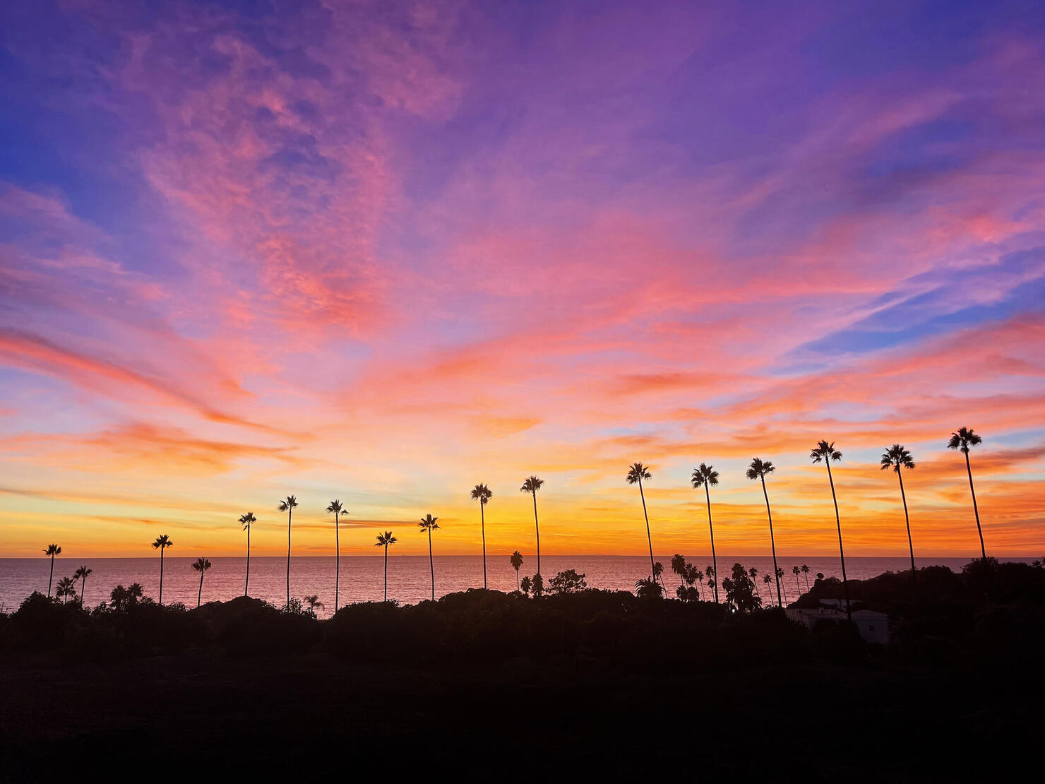 Encinitas Sunset over Swamis with Pam Trees