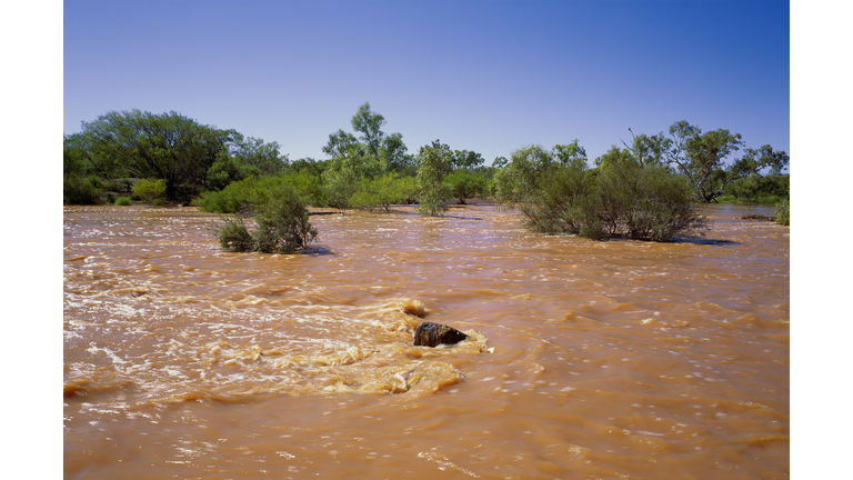 great sandy desert in flood after heavy rains,western australia, australia
