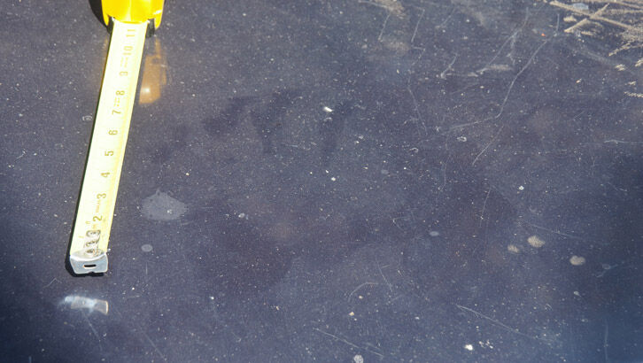 Paul Graves Photos & Audio 8/18/23