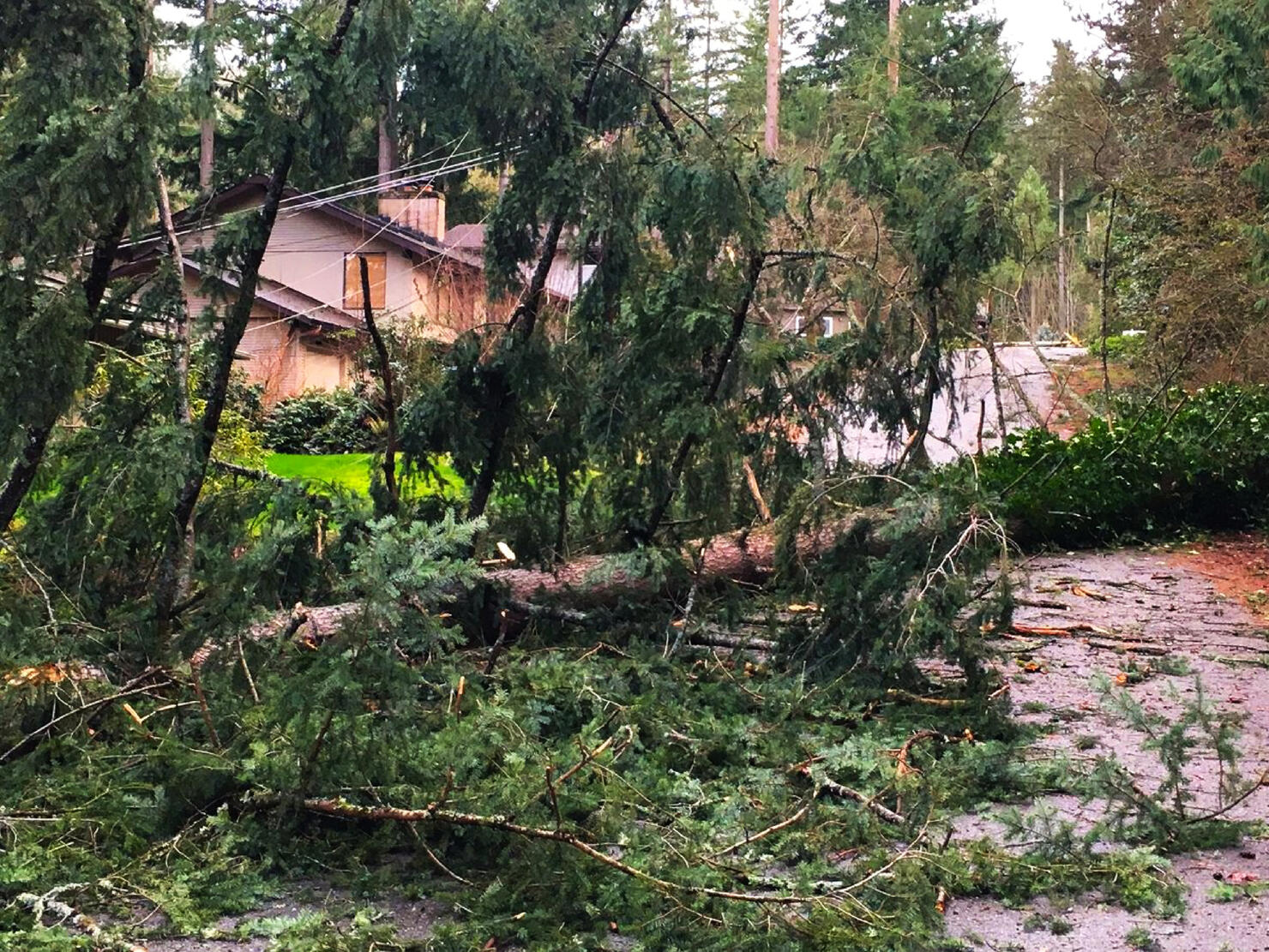 California Mudslides Damage Property After WildFires