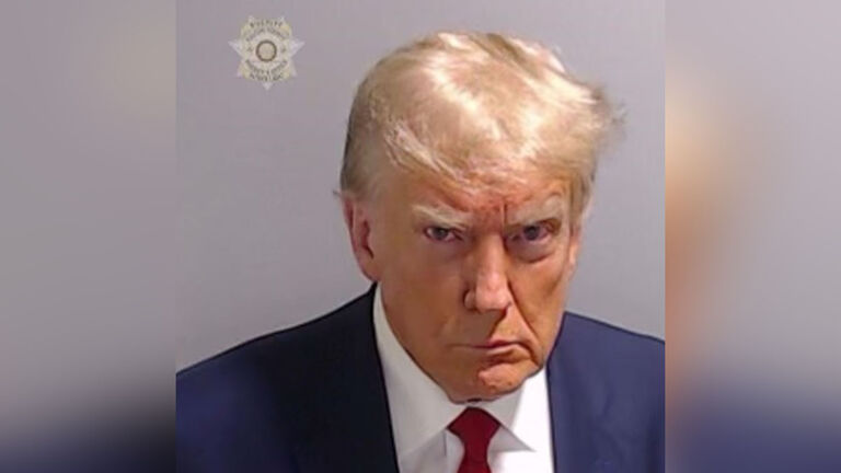 Donald Trump Mugshot