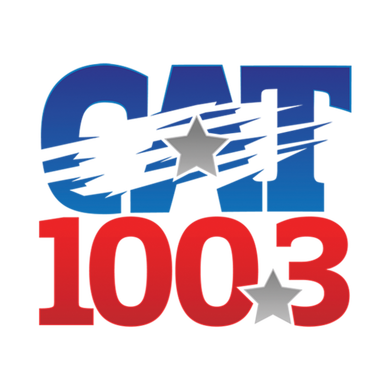 100.3 The Cat logo