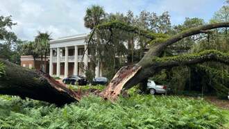100-Year-Old Tree Falls On Florida Governor Mansion During Hurricane Idalia