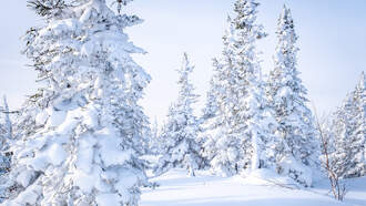 Old Farmer's Almanac Predicts Abnormal Winter For California 