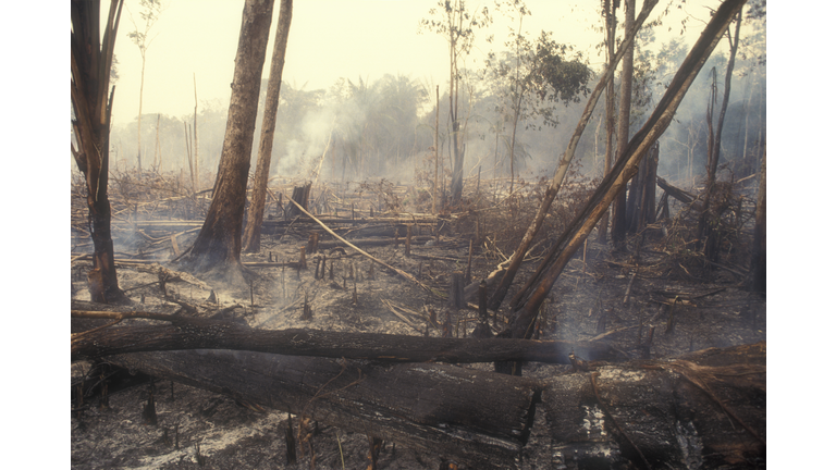 Destruction Global Warming