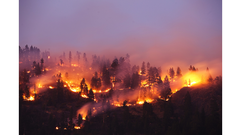 A forrest fire burning the side of a mountain in Montana.