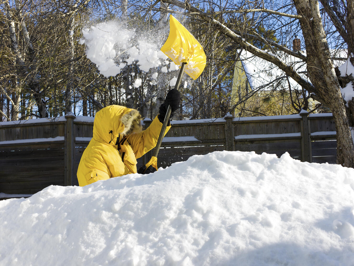 Man Shovelling after a Snow Storm.