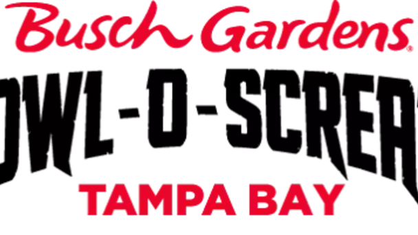 busch gardens buccaneers tickets